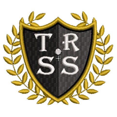 Teniel Risk Security Solutions
